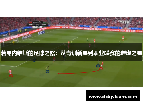 若昂内维斯的足球之路：从青训新星到职业联赛的璀璨之星